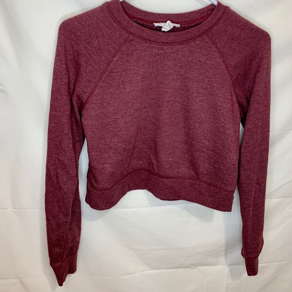 Purple cropped long sleeve